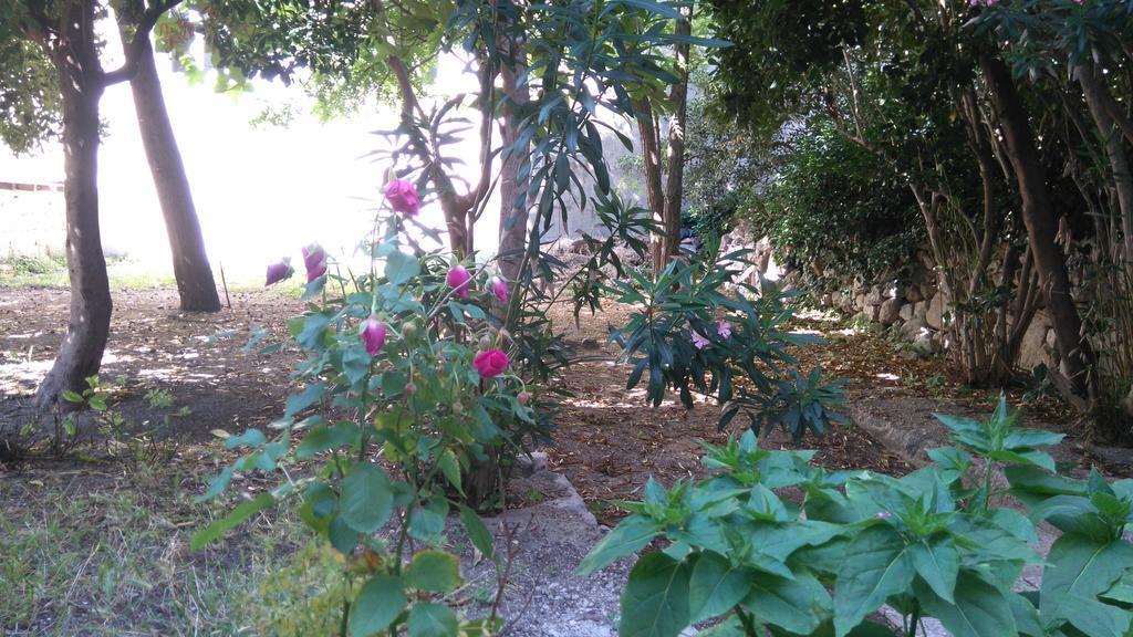 Pag Studio Garden Đảo Pag Ngoại thất bức ảnh